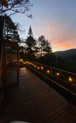 15973a35-8b38-45fc-bd6e-2a3faed8b121