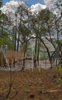 Copia de Aldea exterior Via Lactea y andromeda