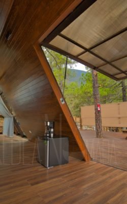 Copia de Andromeda 3