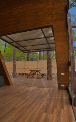 Copia de Andromeda 4