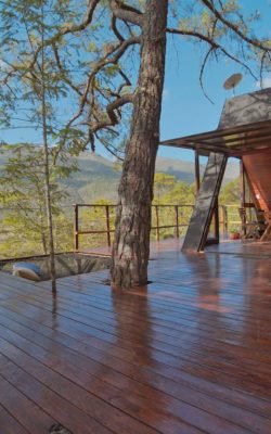 Copia de Andromeda asador