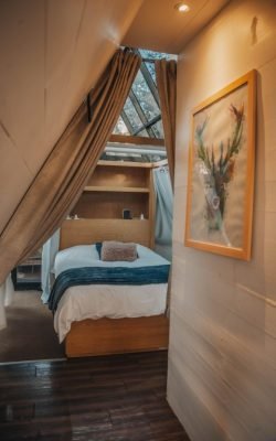 Copia de fae2e667-a022-4542-8618-22ef0a431466