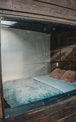 c1dbbfcc-1827-4b63-bac7-409bf75ce594